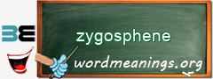 WordMeaning blackboard for zygosphene
